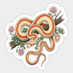 Rosy Boa Vintage Snake Illustration Sticker
